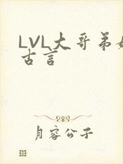 LVL大哥弟媳古言