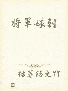 将军嫁到