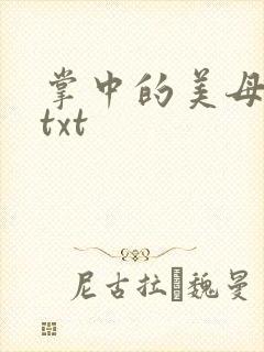 掌中的美母版主txt