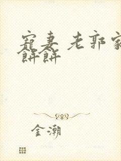 宠妻 老郭家的饼饼