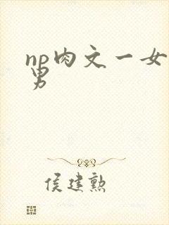 np肉文一女多男