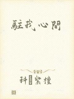 驻我心间