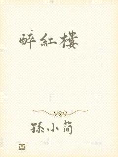 醉红楼