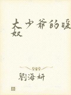 大少爷的暖床小奴