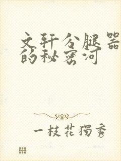 文轩分腿器河马的秘密河