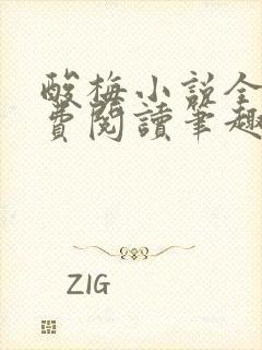 酸梅小说全文免费阅读笔趣阁