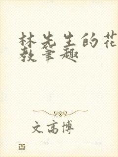 林先生的花式管教笔趣