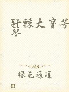 轩辕大宝芳菲雅琴