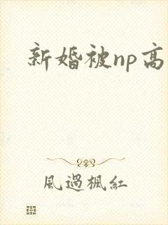 新婚被np高h