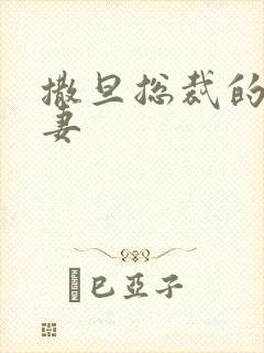 撒旦总裁的下堂妻