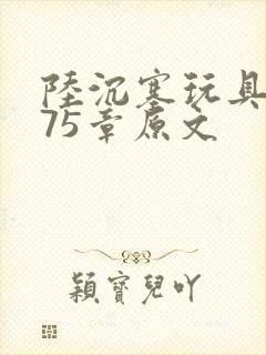 陆沉塞玩具高速75章原文