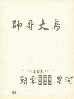 帅哥大鸟