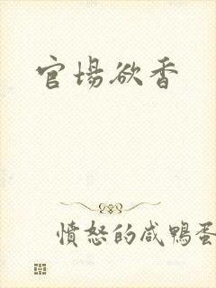 官场欲香