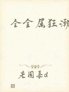 全金属狂潮小说