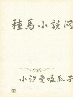 种马小说网