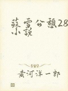 苏雪公憩28篇小说