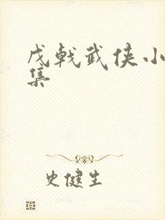 戊戟武侠小说全集