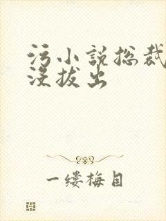 污小说总裁整夜没拔出