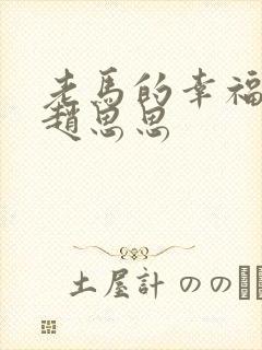 老马的幸福生活赵思思