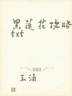 黑莲花攻略手册txt