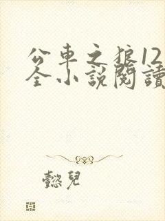 公车之狼12集全小说阅读