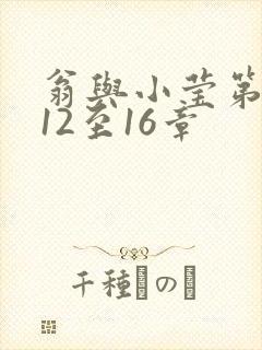 翁与小莹第十部12至16章