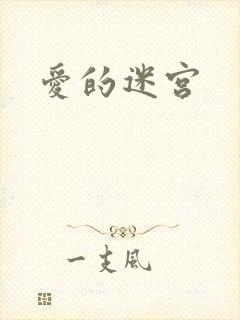 爱的迷宫