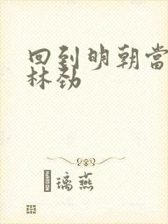 回到明朝当王爷林劲