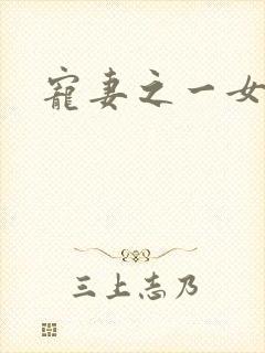 宠妻之一女二夫