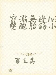 宠溺无边1v3双胞胎的小说