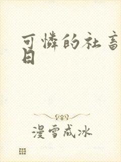 可怜的社畜东度日