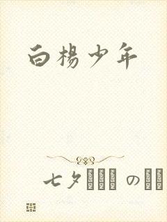 白杨少年