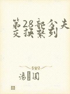 第28部分夫妇交换系列