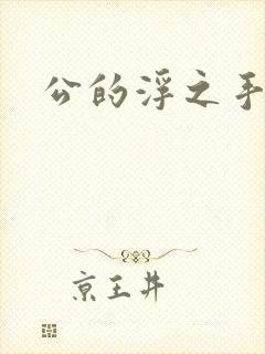 公的浮之手中字
