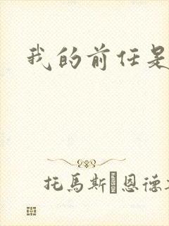 我的前任是极品