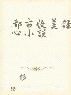 都市收美录宁素心小说