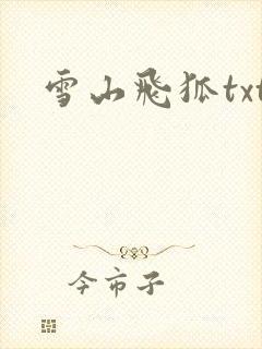 雪山飞狐txt