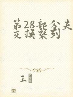 第28部分夫妇交换系列