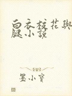 白衣校花与大长腿小说