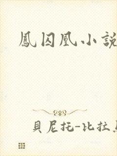 凤囚凰小说