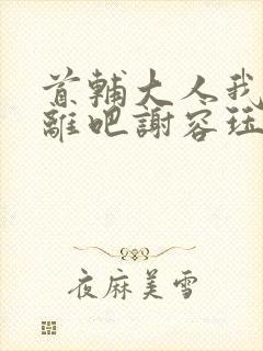 首辅大人我们和离吧谢容珏