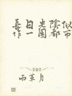 长日光阴似箭乱作一团都市言情