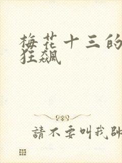 梅花十三的乳液狂飙