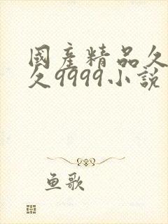 国产精品久久久久9999小说