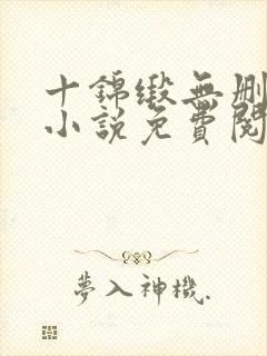 十锦缎无删原著小说免费阅读