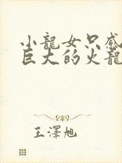 小龙女只感觉那巨大的火龙枪