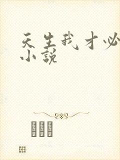 天生我才必有用小说