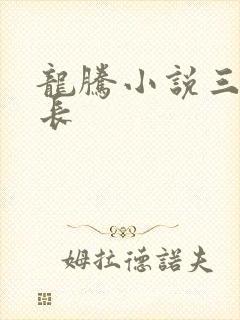 龙腾小说三宝局长