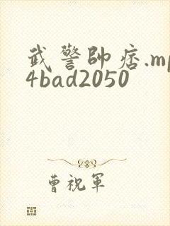 武警帅痞.mp4bad2050