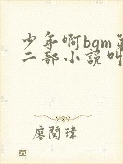 少年啊bgm第二部小说叫什么